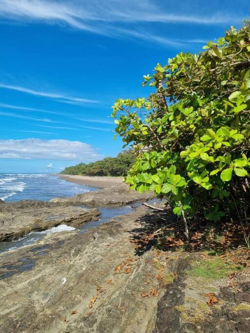 Villa Amor Del Mar With Breathtaking View Of Ocean & Jungle Dominical Buitenkant foto